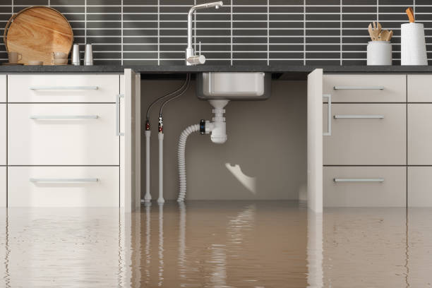 Best Commercial Water Damage Restoration in Point Roberts, WA